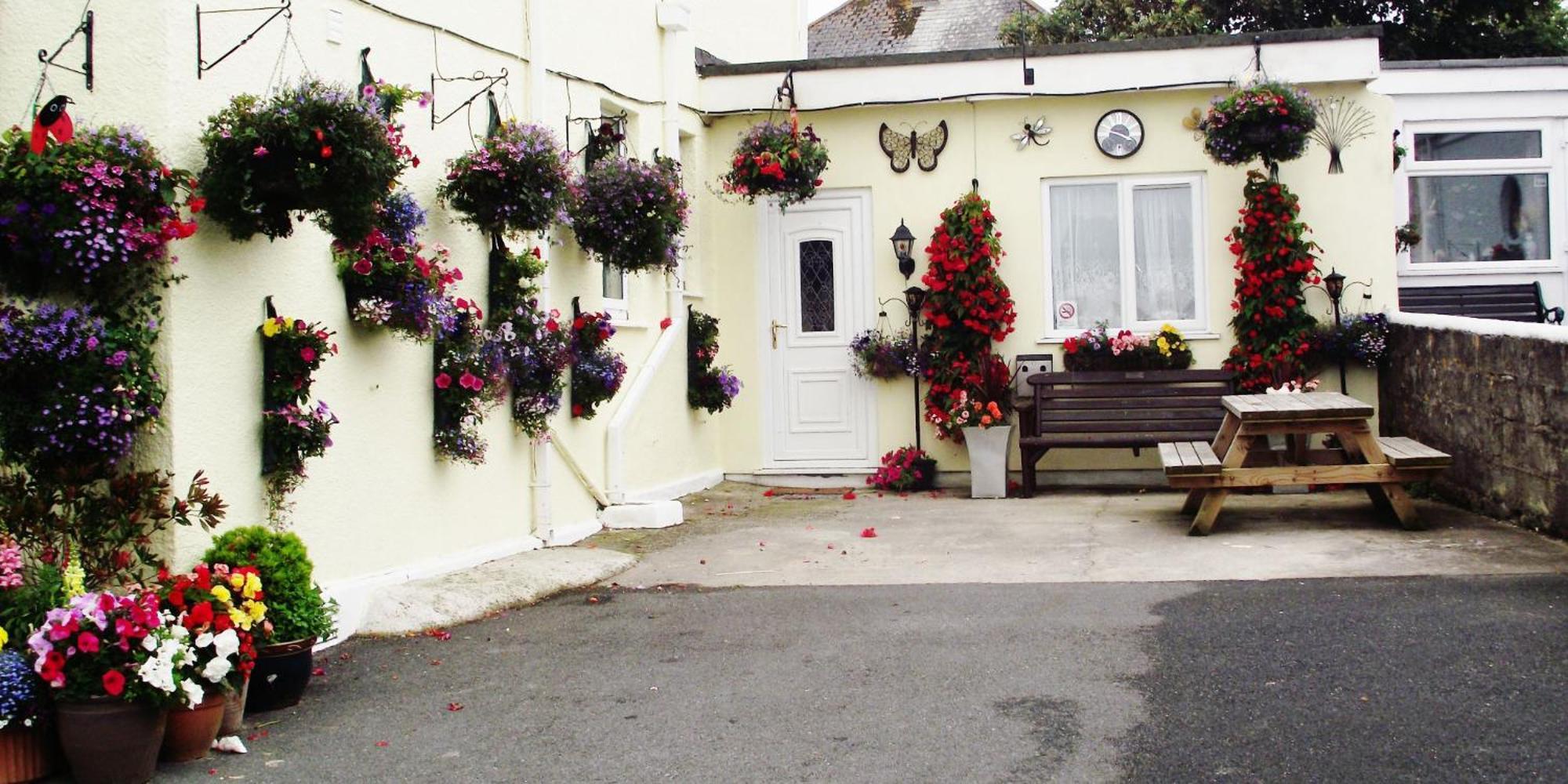 Jasmine House Bed and Breakfast New Quay Buitenkant foto