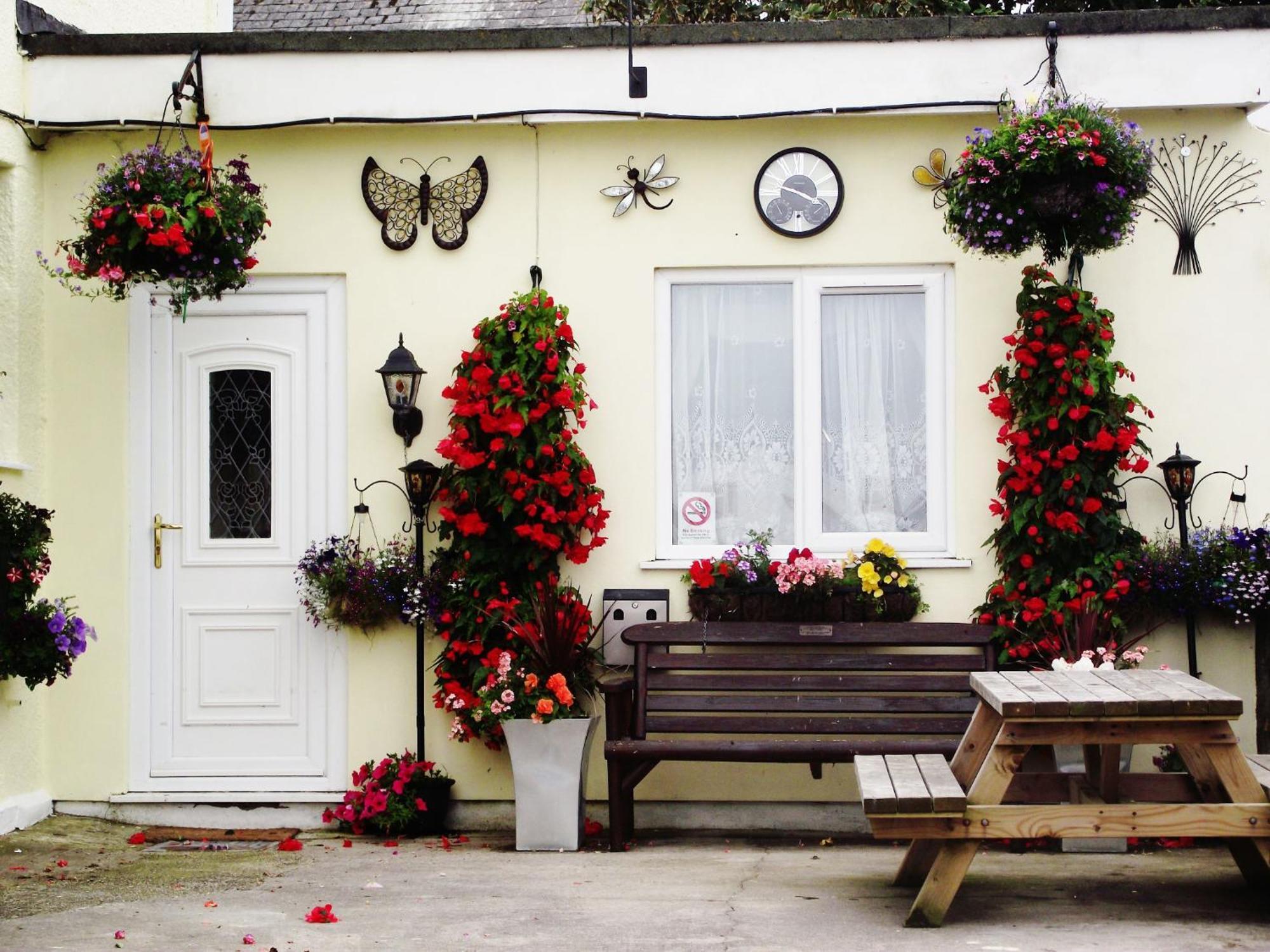 Jasmine House Bed and Breakfast New Quay Buitenkant foto